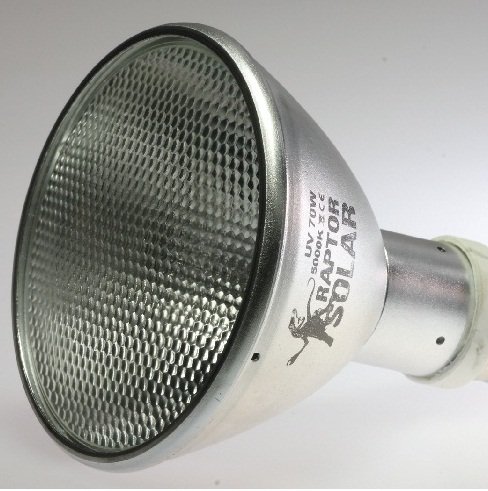 Ballast ECONLUX SolarRaptor EVG 50 Watt - Alimentatore Per Lampade HID Terrario - Foto 12